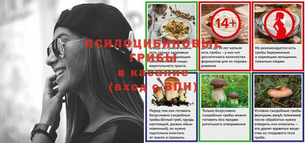MESCALINE Кукмор